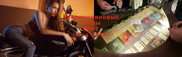 стафф Балабаново