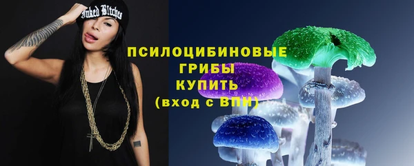 ГАЛЛЮЦИНОГЕННЫЕ ГРИБЫ Балахна