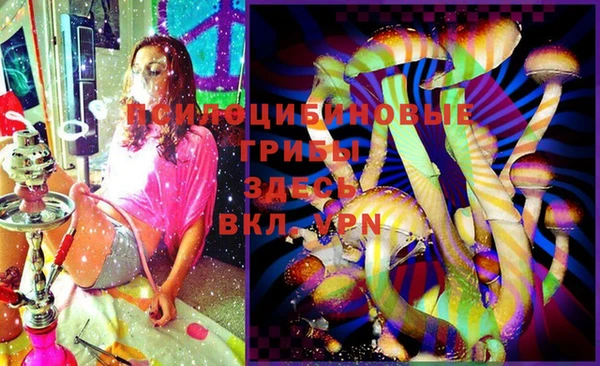 ГАЛЛЮЦИНОГЕННЫЕ ГРИБЫ Балахна
