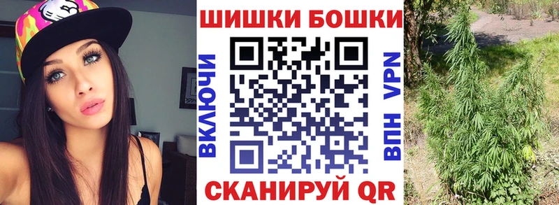 Каннабис сатива Адыгейск